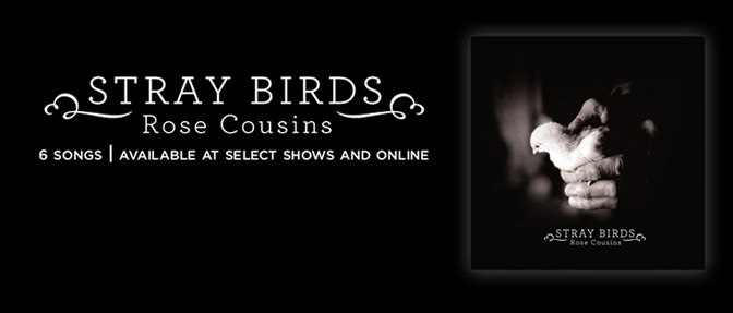 rosecousins-straybirds